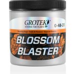 Grotek Blossom Blaster 20 g – Hledejceny.cz