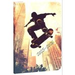 STUDENT Školní diář Skate 2025/26 – Sleviste.cz