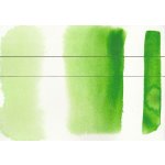 Roman Szmal akvarelová barva Aquarius 231 Permanent Green Light – Sleviste.cz