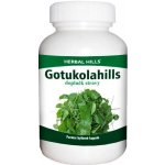 Herbal Hills Gotukolahills Bylinné kapsle 60 kapslí – Hledejceny.cz