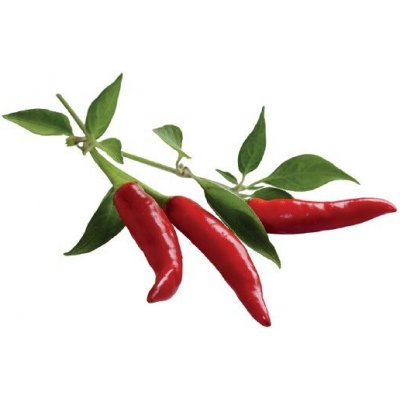 Sazenice Click And Grow Chilli Paprička (CNGR3PCHP) – Hledejceny.cz