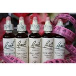 Hubnutí Bachova směs esencí 30 ml – Hledejceny.cz