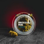 Kratom World Květy Broccoli Bud 10-OH HHC 15% 1g THC do 1% – Zboží Mobilmania