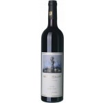 Weingut Georg Müller Stiftung Rulandské modré / Pinot Noir Gutswein suché červené 2019 13% 0,75 l (holá láhev) – Hledejceny.cz