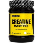 Titanus Creatine Monohydrate 500 g – Zboží Mobilmania