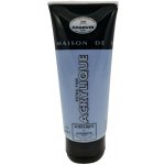 Charvin Paris akrylová barva Extra Fine ash blue 290 200 ml – Hledejceny.cz