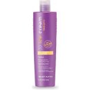 Inebrya Liss Perfect Shampoo 1000 ml