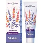 Herba Denta bez fluoru Šalvěj Prebiotická 100 g – Hledejceny.cz