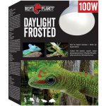 Repti Planet Daylight Frosted 100 W 007-41024 – Zboží Mobilmania