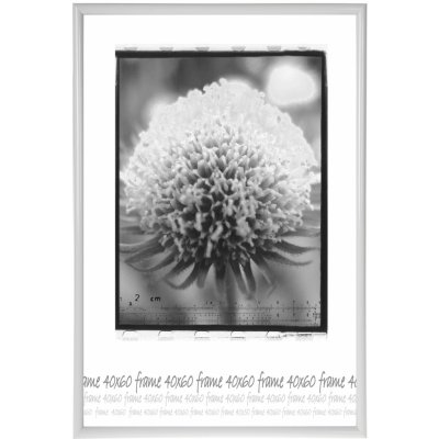 Tradag Rámeček bílý UH 40x60 – Zboží Mobilmania