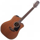 Takamine GD11MCE-NS