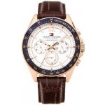 Tommy Hilfiger 1791118 – Zbozi.Blesk.cz