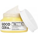 Pleťový krém Holika Holika Skin & Good Cera super Cream 60 ml