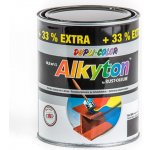 Alkyton mat RAL 9005 černá 1l – Sleviste.cz
