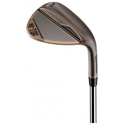 TaylorMade Hi-Toe 4 True Temper Dynamic Gold Tour Issue wedge levé 58° 10° ocel Stiff – Zboží Dáma