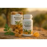 Dr. Popov Boswellia Serrata Kadidlovník extrakt 60 kapslí – Hledejceny.cz