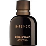 Dolce & Gabbana Intenso parfémovaná voda pánská 40 ml – Hledejceny.cz