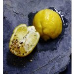 Christian Dior Sauvage toaletní voda pánská 60 ml – Sleviste.cz