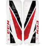 CCM extreme flex e4.9 INT – Zboží Mobilmania