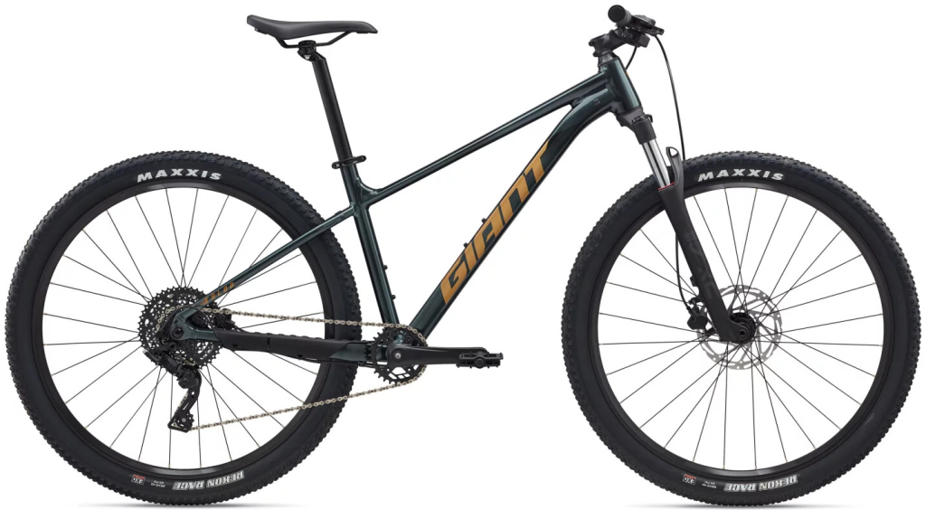 Giant Talon 29 1 2026