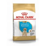 Royal Canin Labrador Retriever Puppy 3 kg – Zboží Mobilmania