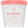 Svíčka DW Home Creamery Raspberry Sherbet 300 g