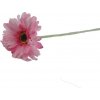 Květina Gerbera růžová X5786-05
