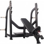 TRUESTEEL Incline Bench – Hledejceny.cz