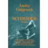 Kniha Schroder - Amity Gaige