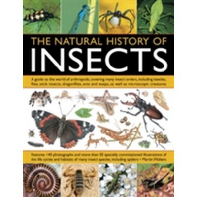 The Natural History of Insects - M. Walters – Zbozi.Blesk.cz