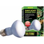 Hagen Exo Terra Sun Glo Neodymium 50 W – Zboží Dáma