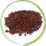 Dromy Rakytník plod 1 kg – Hledejceny.cz