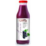 Ovocňák Mošt JABLKO ARÓNIE 750 ml – Zboží Dáma