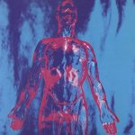 Nirvana - 7 Sliver LP – Hledejceny.cz