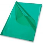 Karton P+P zakládací obal L A4 zelený 10 ks – Zboží Živě