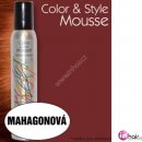 Omeisan Color & Style Mousse tužidlo mahagonové 200 ml