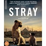 Stray BD – Sleviste.cz