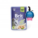 Brit cat FILLETS jelly Pstruh 85 g – Hledejceny.cz