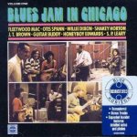 Fleetwood Mac - Blues Jam In Chicago - Vol. 1 CD – Hledejceny.cz