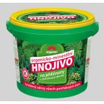 Forestina hnojivo pro jehličnany 5 kg – Zboží Mobilmania