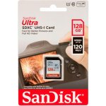 SanDisk SDXC UHS-I 128 GB SDSDUN4-128G-GN6IN – Zbozi.Blesk.cz