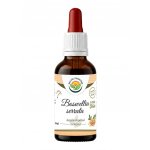 Salvia Paradise Boswellia serrata Kadidlovník AF tinktura 50 ml – Hledejceny.cz