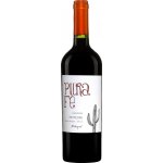 Antiyal Pura Fe Carmenere 2023 Červené 14,5% 0,75 l (holá láhev) – Hledejceny.cz