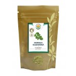 Salvia Paradise Moringa olejodárná list mletý 100 g – Hledejceny.cz