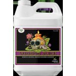 Advanced Nutrients Voodoo Juice 500 ml – Hledejceny.cz