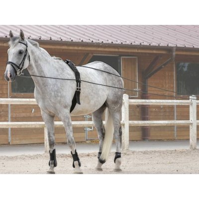 RIDING WORLD Dvojitá lonž black – Zboží Dáma