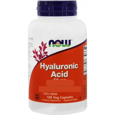 NOW Foods Kyselina hyaluronová s MSM 50 mg 120 rostlinných kapslí – Hledejceny.cz