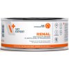 VetExpert VD 4T Renal Cat 100 g