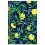 BB ART Notes Citron – Hledejceny.cz