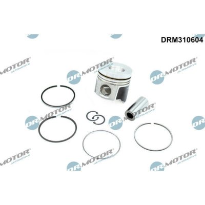 Dr.Motor Automotive DRM310604 – Hledejceny.cz